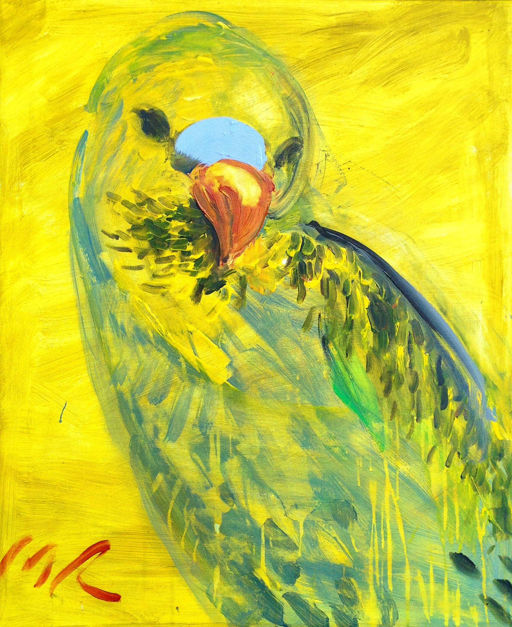 Parrot1